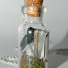 Winter is Coming, Three Eyed Raven, Bottle Necklace