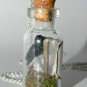 Winter is Coming, Three Eyed Raven, Bottle Necklace