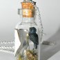 Winter is Coming, Three Eyed Raven, Bottle Necklace