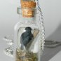 Winter is Coming, Three Eyed Raven, Bottle Necklace