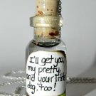 I'll Get You My Pretty! Wicked Witch