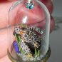 Beautiful Briny Sea, Bottle Necklace, Sea Turtle Necklace
