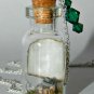 Wicked Witch's Fate, Bottle Necklace