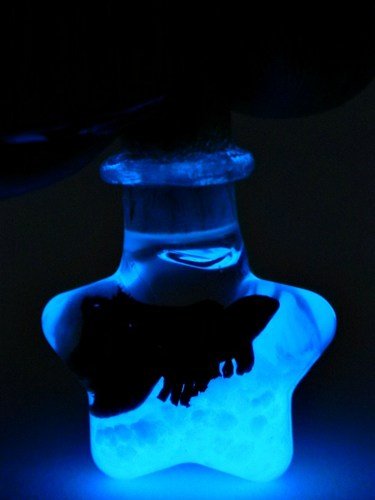 Glowing Betta Fish Star Necklace