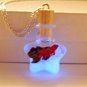 Glowing Betta Fish Star Necklace
