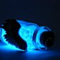 Castiel's Glowing Grace Angel Wings, Bottle Necklace