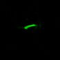 Beam Me Up Scotty! Glow in the Dark Bottle Necklace