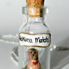 Heart of a Lion, Hakuna Matata,Bottle Necklace