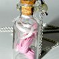 Tiny Dancer, Ballerina Slippers, Bottle Necklace