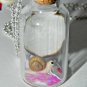 Snail Mail, Mini Snail with Love Letter,Bottle Necklace