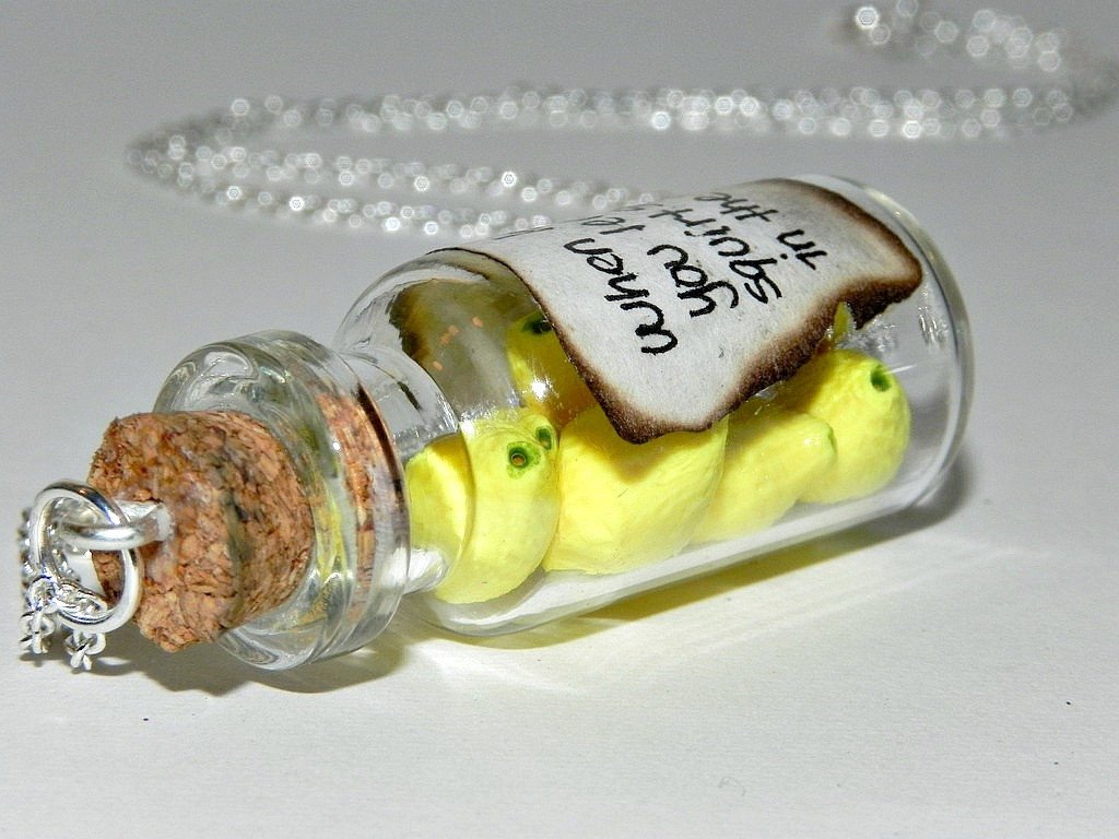 When Life Hands You Lemons, Bottle Necklace