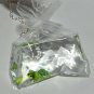 My Pet Turtle, Baggie Necklace
