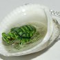Tiny Turtle Jaccuzi Seashell Necklace