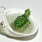 Tiny Turtle Jaccuzi Seashell Necklace