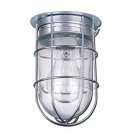 Canarm Ceiling/Wall Barn Light with Cage - 120V, Model# BL04CWG