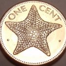 Gem Unc 1998 Bahamas 1 Cent~Starfish Coin~We Have Bahama Coins In Stock~Free Shi Gem Unc 1998 Bahamas 1 Cent~Starfish Coin~We Have Bahama Coins In Stock~Free Shi