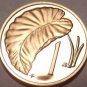 Cameo Proof Cook Islands 1972 Cent~Only 17,000 Minted~Taro Leaf~Free Shipping