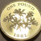 Rare Gem Cameo Proof Guernsey 1981 Pound~10k Minted~Guernsey Lily~Free Ship~