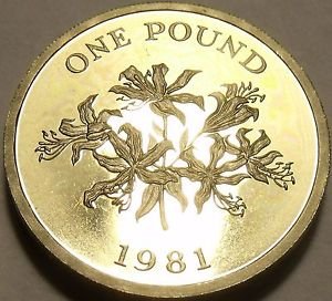 Rare Gem Cameo Proof Guernsey 1981 Pound~10k Minted~Guernsey Lily~Free Ship~