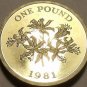 Rare Gem Cameo Proof Guernsey 1981 Pound~10k Minted~Guernsey Lily~Free Ship~