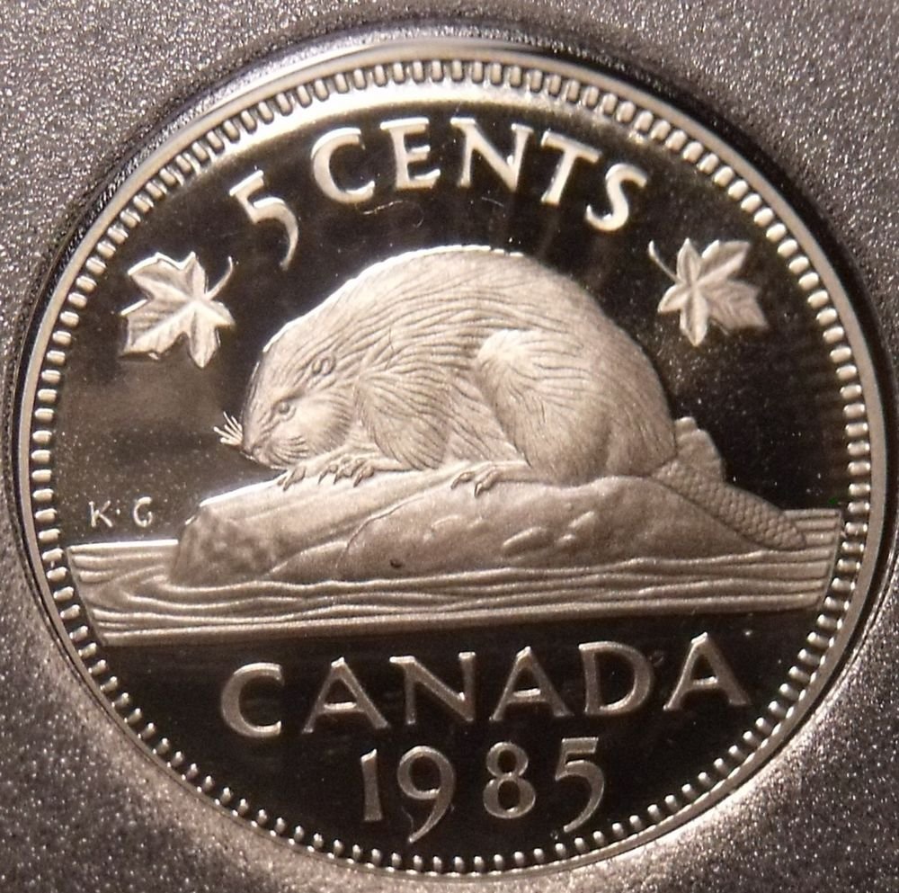 Gem Cameo Canada 1985 5 Cents~Beaver~157,037 Minted~Free Ship~See R ...