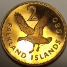 Large Rare Cameo Proof Falkland Islands 1980 2 Pence~Upland Goose~10k Minted~F/S