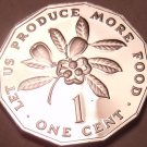 Rare Proof Jamaica 1976 F.A.O. Issue Cent~Only 24,000 Minted~Fantastic~Free Ship