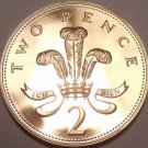 Large Cameo Proof Great Britain 2002 2-Pence~Welsh Plume~Free Shipping
