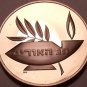 Massive Franklin Mint Bronze Proof Medallion~The Star Of David/Lamp~Free Ship