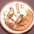 Rare Proof South Africa 1980 Cent~Only 5,000 Ever Minted~Sparrows~Free Shipping