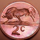 Rare Proof South Africa 1976 2 Cents~Only 7,000 Ever Minted~Black wildebeest~F/S Rare Proof South Africa 1976 2 Cents~Only 7,000 Ever Minted~Black wildebeest~F/S