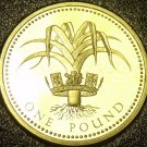 Cameo Proof Great Britain 1985 Pound~1st Year Ever~Welsh Leak~102,000 Minted~F/S Cameo Proof Great Britain 1985 Pound~1st Year Ever~Welsh Leak~102,000 Minted~F/S