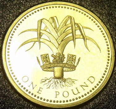 Cameo Proof Great Britain 1985 Pound~1st Year Ever~Welsh Leak~102,000 Minted~F/S