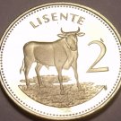 Rare Proof Lesotho 1979 2 Licente~10k Minted~Bull~Read Why Proofs Are Best~Fr/Sh