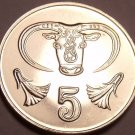 Gem Uncirculated Cyprus 1994 5 Cents~Bulls Head~Excellent~Free Shipping