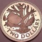 Massive Cameo Proof Barbados 1973 2 Dollars~1st Year~Staghorn Coral~Free Ship