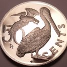 Cameo Proof British Virgin Islands 1974 50 Cents~Brown Pelican~94,000 Minted~F/S Cameo Proof British Virgin Islands 1974 50 Cents~Brown Pelican~94,000 Minted~F/S