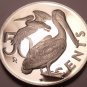 Cameo Proof British Virgin Islands 1974 50 Cents~Brown Pelican~94,000 Minted~F/S