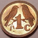 Rare Proof South Africa 1993 Cent~Sparrows~Only 7,790 Minted~Free Shipping