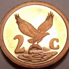 Rare Proof South Africa 1993 2 Cents~Eagle With Fish In Talons~7,790 Minted~Fr/S Rare Proof South Africa 1993 2 Cents~Eagle With Fish In Talons~7,790 Minted~Fr/S