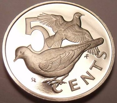 Cameo Proof British Virgin Islands 1973 5 Cents~Zenaida Doves~1st Year~Free Ship