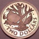 Rare Proof Barbados 1974 2 Dollars~Staghorn Coral~Only 36,000 Minted~Free Ship