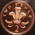 Cameo Proof Great Britain 1996 2 Pence~Welsh Plume~The Mints Best Work~Free Ship Cameo Proof Great Britain 1996 2 Pence~Welsh Plume~The Mints Best Work~Free Ship