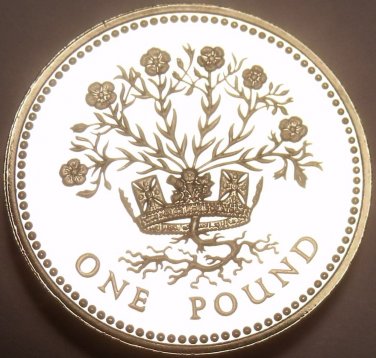 Gem Cameo Proof Great Britain 1986 Pound~Blooming Flax~Edge Incription~Free Ship