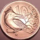 Rare Gem Unc British Virgin Islands 1974 10 Cents~12k Minted~Kingfisher~Free Shi Rare Gem Unc British Virgin Islands 1974 10 Cents~12k Minted~Kingfisher~Free Shi