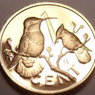 Cameo Proof British Virgin Islands 1973 Cent~1st Year~Hummingbird~Free Shipping