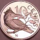 Rare Cameo Proof British Virgin Islands 1980 10 Cents~Kingfisher~3,421 Minted~FS