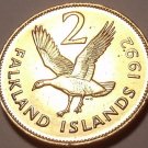 Large Unc Falkland Islands1992 Cents~Upland Goose~We Have Unc Coins~Free Ship