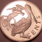 Huge Proof British Virgin Islands 1984 50 Cents~Brown Pelican~Free Shipping
