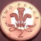 Cameo Proof Great Britain 2000 2 Pence~ICH DIEN~(I Serve)100,000 Minted~Free Shi Cameo Proof Great Britain 2000 2 Pence~ICH DIEN~(I Serve)100,000 Minted~Free Shi